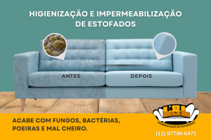 Empresa de Higienizaçao